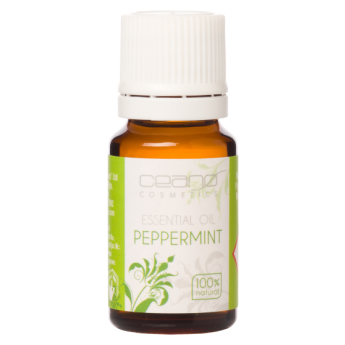 Pfefferminze 10 ml